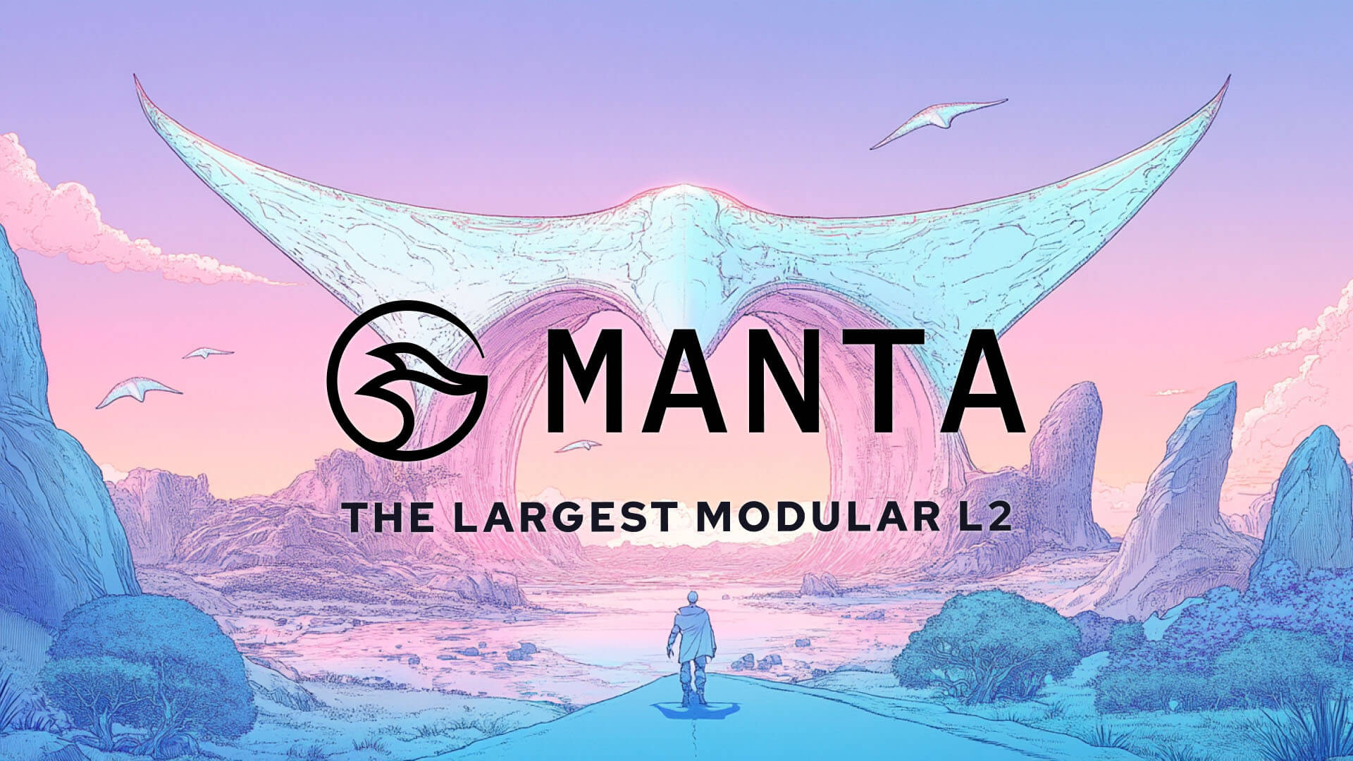 Manta network the modular blockchain for zk applications networks